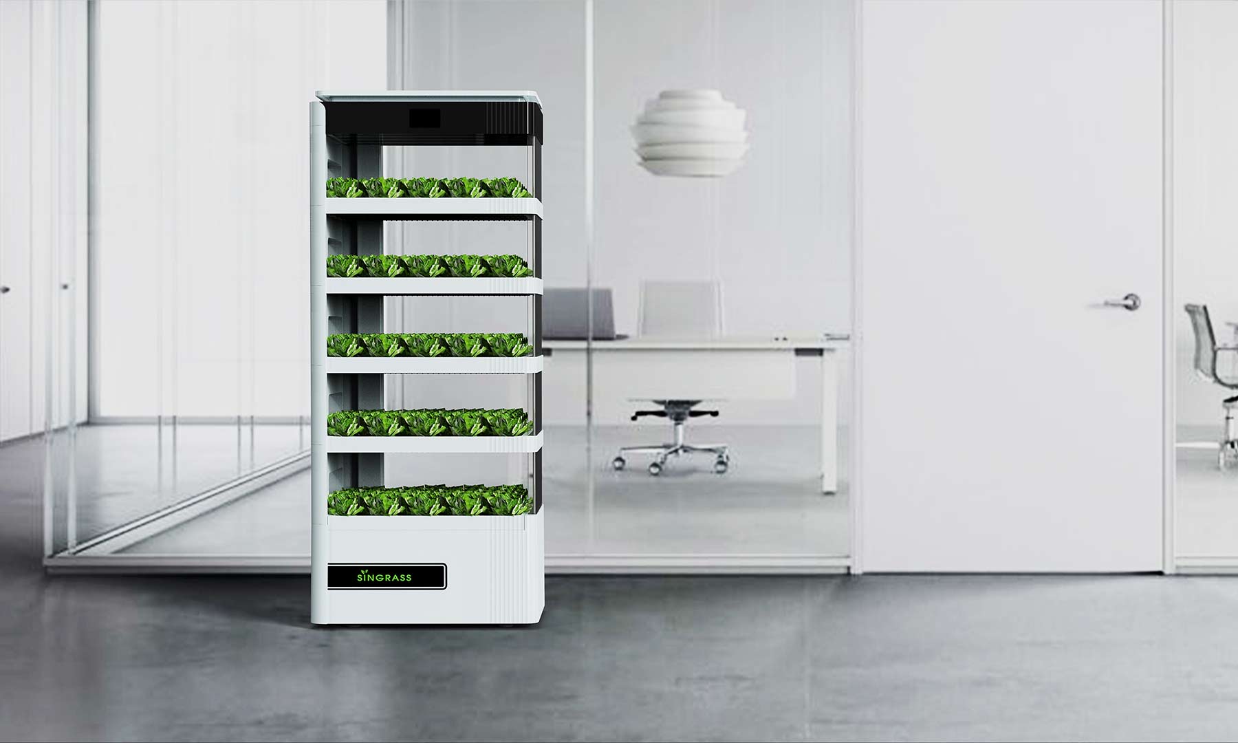 4.jpg 4.jpg